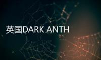 英国DARK ANTHEM重音/闪电项链中性酷简约精致纯银男女个性锁骨链