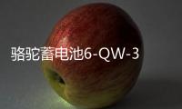 骆驼蓄电池6-QW-36适用于本田飞度哥瑞理念锋范汽车电瓶 以旧换新